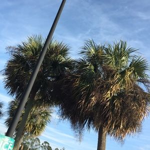 Meet your Posher, Talia